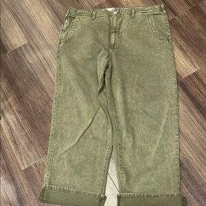 NWOT Pilcro Pants